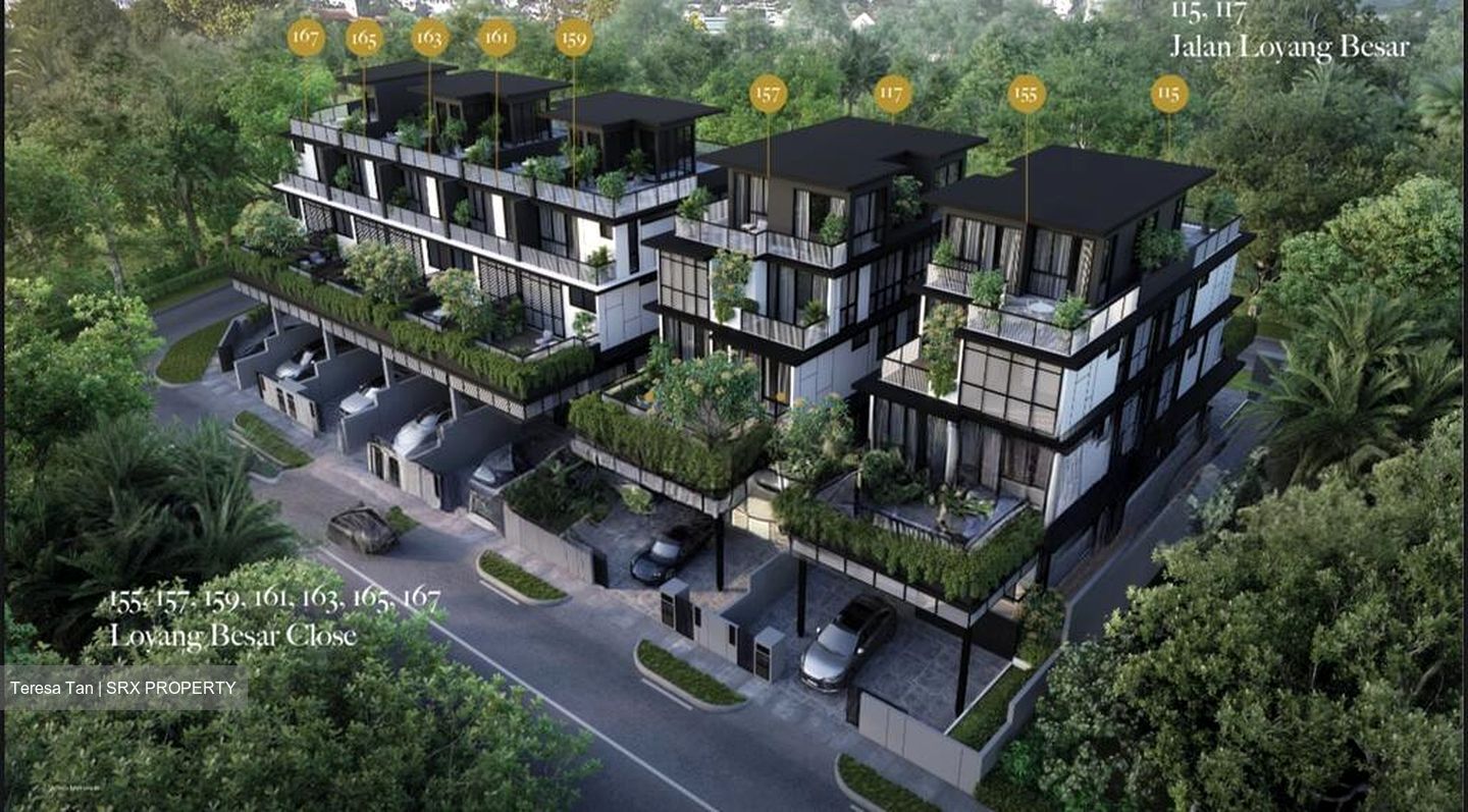 JALAN LOYANG BESAR (D17), Semi-Detached #508278861